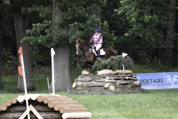 luhmuehlen-2019-cci5-157-jpg