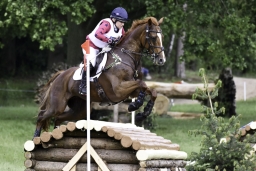 luhmuehlen-2019-cci5-158-jpg