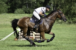 luhmuehlen-2019-cci5-170-jpg