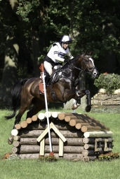 luhmuehlen-2019-cci5-176-jpg