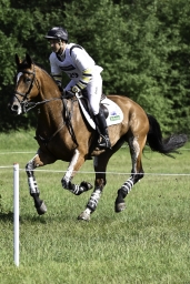 luhmuehlen-2019-cci5-178-jpg