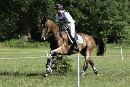luhmuehlen-2019-cci5-179-jpg