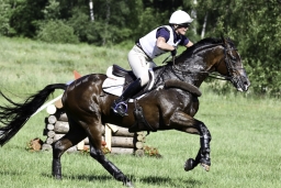 luhmuehlen-2019-cci5-190-jpg