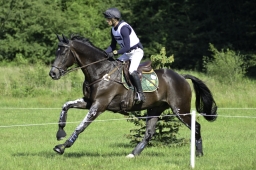 luhmuehlen-2019-cci5-195_peter_flarup_frankie-jpg