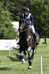 luhmuehlen-2019-cci5-196_peter_flarup_frankie-jpg