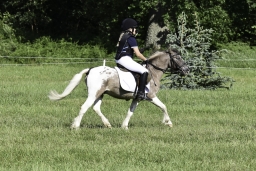 luhmuehlen-2019-cci5-198-jpg