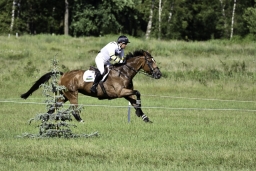 luhmuehlen-2019-cci5-199-jpg