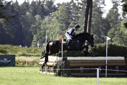 luhmuehlen-2019-cci5-200-jpg