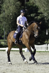 luhmuehlen-2019-dressur-009-jpg