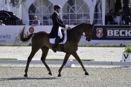 luhmuehlen-2019-dressur-012-jpg