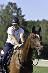 luhmuehlen-2019-dressur-016-jpg