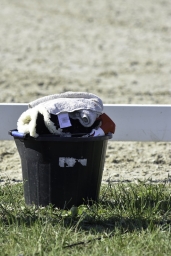 luhmuehlen-2019-dressur-021-jpg