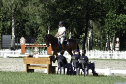 luhmuehlen-2019-dressur-022-jpg