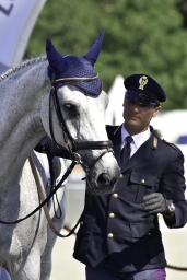 luhmuehlen-2019-dressur-036-jpg