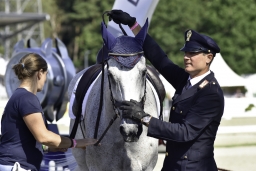 luhmuehlen-2019-dressur-037-jpg