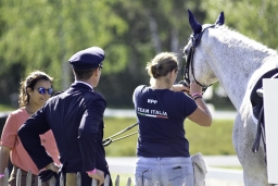 luhmuehlen-2019-dressur-041-jpg