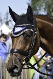 luhmuehlen-2019-dressur-059-jpg