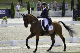 luhmuehlen-2019-dressur-091-jpg