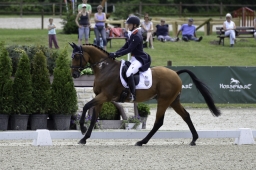 luhmuehlen-2019-dressur-098-jpg