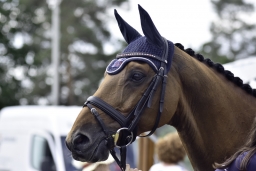 luhmuehlen-2019-dressur-107-jpg