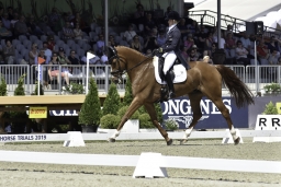 luhmuehlen-2019-dressur-134-jpg