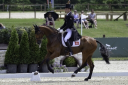 luhmuehlen-2019-dressur-146-jpg