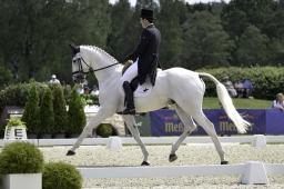 luhmuehlen-2019-dressur-163-jpg