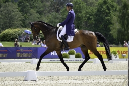 luhmuehlen-2019-dressur-181-jpg