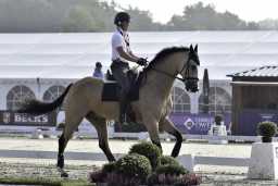 luhmuehlen-european-eventing-2019-dressage-004-jpg