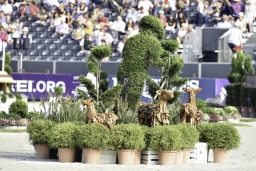 luhmuehlen-european-eventing-2019-dressage-019-jpg