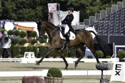 luhmuehlen-european-eventing-2019-dressage-040-jpg