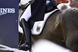 luhmuehlen-european-eventing-2019-dressage-047-jpg