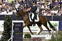 luhmuehlen-european-eventing-2019-dressage-133-jpg