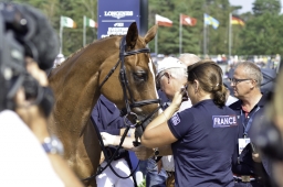 luhmuehlen-european-eventing-2019-dressage-161-jpg