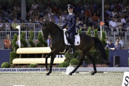 luhmuehlen-european-eventing-2019-dressage-217-jpg