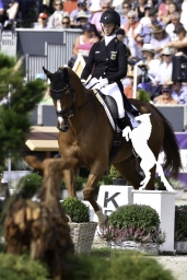 luhmuehlen-european-eventing-2019-dressage-235-jpg