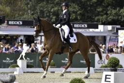 luhmuehlen-european-eventing-2019-dressage-237-jpg