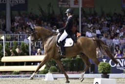 luhmuehlen-european-eventing-2019-dressage-241-jpg