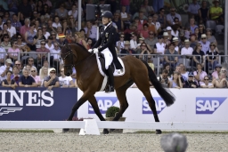 luhmuehlen-european-eventing-2019-dressage-264-jpg