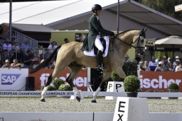 luhmuehlen-european-eventing-2019-dressage-288-jpg