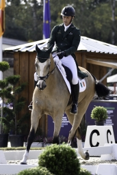 luhmuehlen-european-eventing-2019-dressage-291-jpg