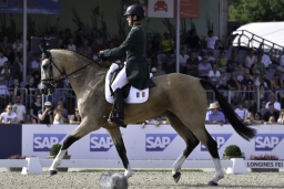 luhmuehlen-european-eventing-2019-dressage-293-jpg