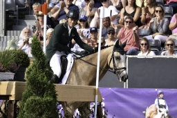 luhmuehlen-european-eventing-2019-dressage-302-jpg