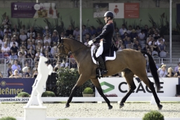 luhmuehlen-european-eventing-2019-dressage-315-jpg