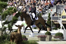 luhmuehlen-european-eventing-2019-dressage-317-jpg