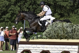 luhmuehlen-european-eventing-2019-cross-country-037-jpg