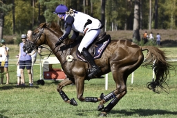 luhmuehlen-european-eventing-2019-cross-country-069-jpg