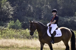 luhmuehlen-european-eventing-2019-cross-country-072-jpg