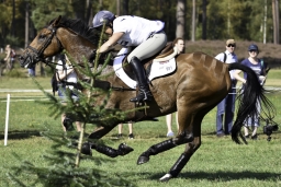 luhmuehlen-european-eventing-2019-cross-country-079-jpg