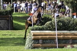 luhmuehlen-european-eventing-2019-cross-country-081-jpg